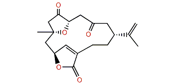 10-Epigyrosanolide E
